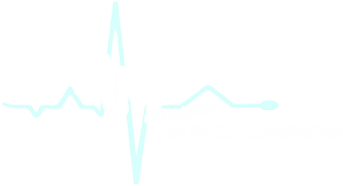 BPM Audio & Light